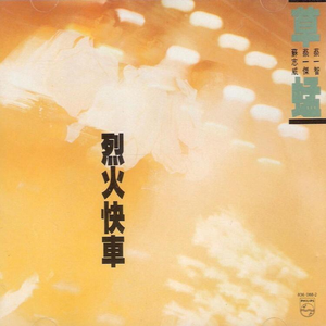 肏肥女人骚逼视频
