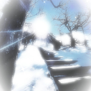 肏肥女人骚逼视频
