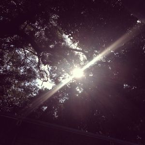 肏肥女人骚逼视频
